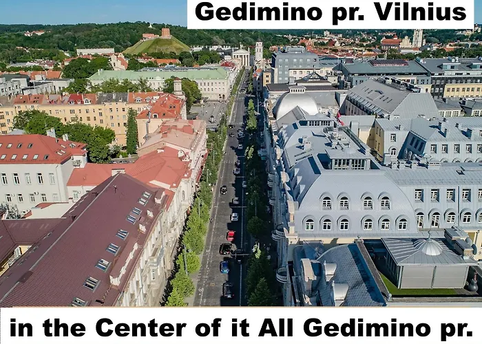 Cohost I New Gedimino Ave Apartment W- Ac, In The Center Of It All